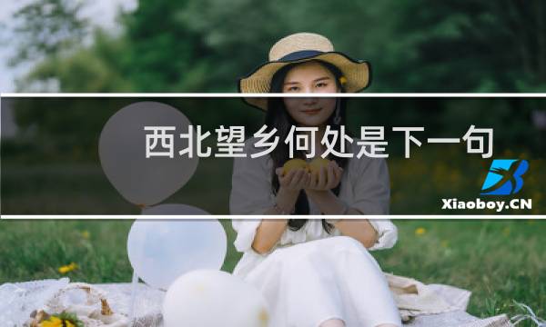 西北望乡何处是下一句