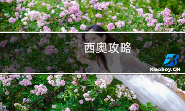 西奥攻略