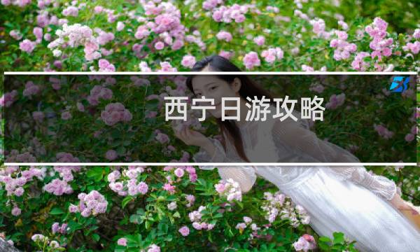 西宁日游攻略
