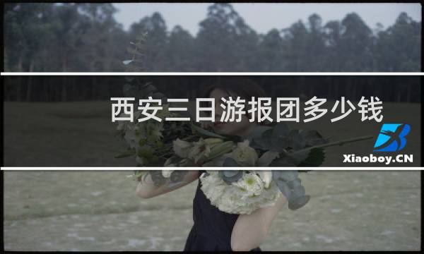 西安三日游报团多少钱