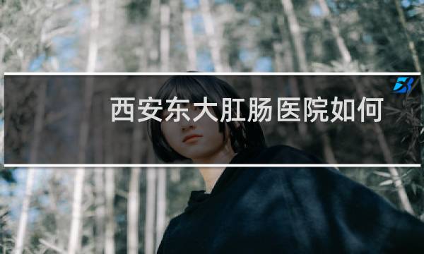 西安东大肛肠医院如何