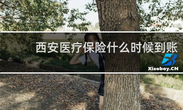 西安医疗保险什么时候到账