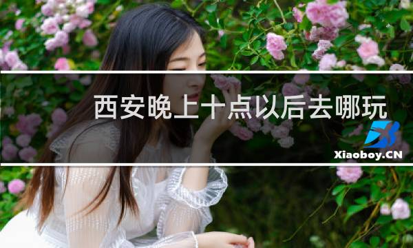 西安晚上十点以后去哪玩