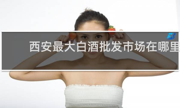 西安最大白酒批发市场在哪里