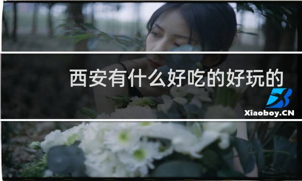 西安有什么好吃的好玩的
