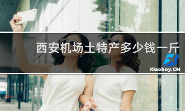西安机场土特产多少钱一斤
