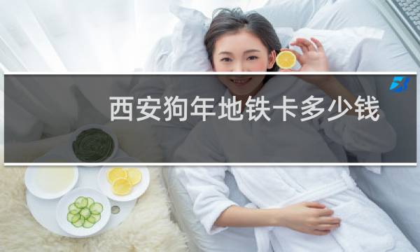 西安狗年地铁卡多少钱
