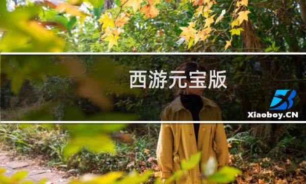 西游元宝版 攻略