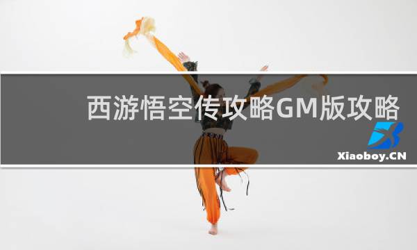 西游悟空传攻略GM版攻略