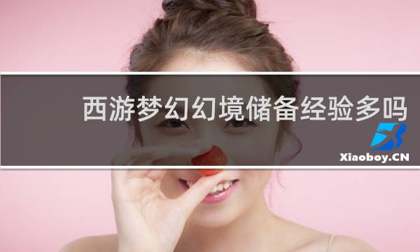 西游梦幻幻境储备经验多吗