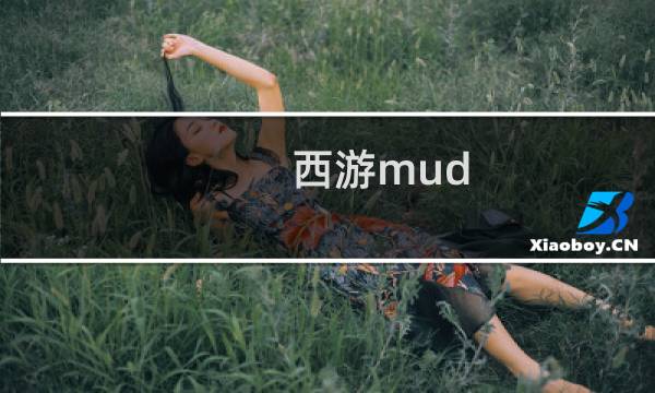 西游mud 攻略