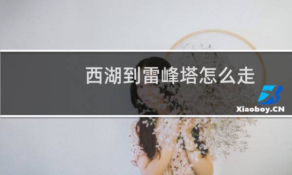 西湖到雷峰塔怎么走