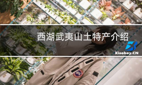 西湖武夷山土特产介绍