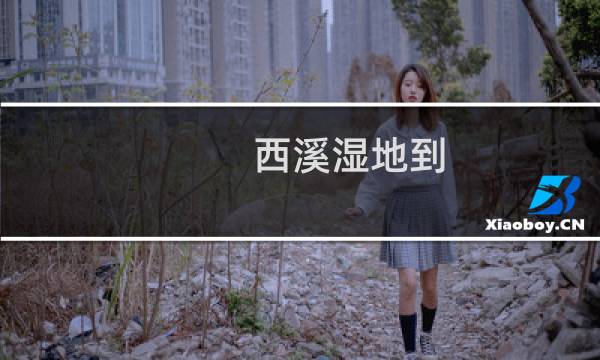 西溪湿地到