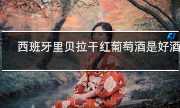 西班牙里贝拉干红葡萄酒是好酒吗
