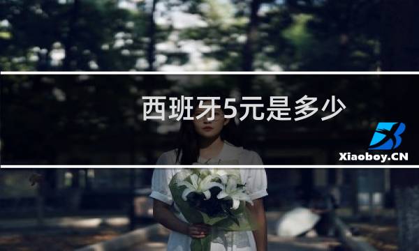 西班牙5元是多少