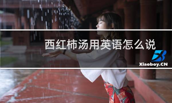 西红柿汤用英语怎么说