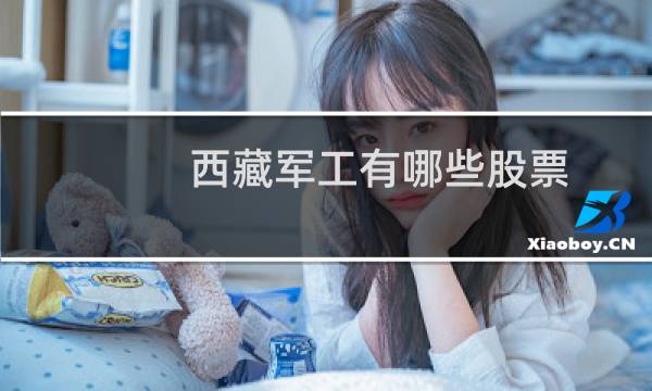 西藏军工有哪些股票