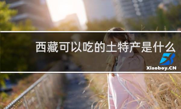 西藏可以吃的土特产是什么