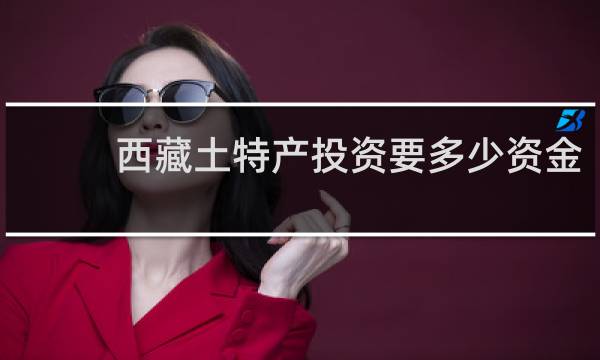 西藏土特产投资要多少资金