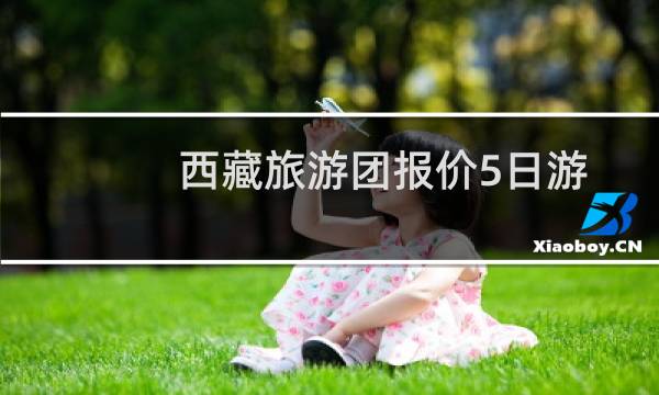 西藏旅游团报价5日游
