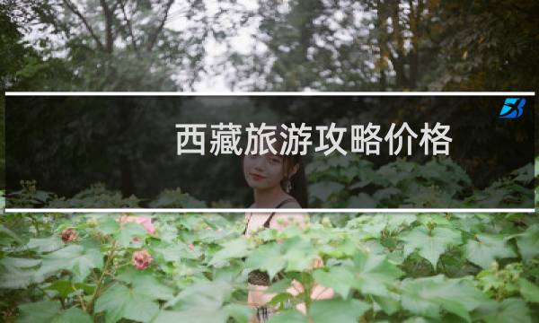 西藏旅游攻略价格