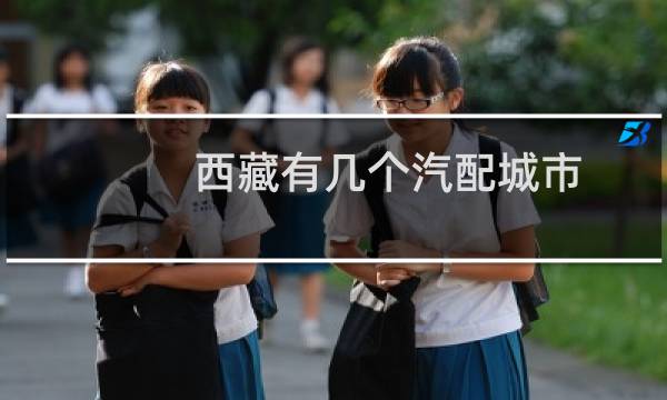 西藏有几个汽配城市