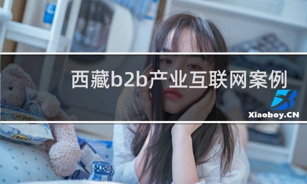 西藏b2b产业互联网案例