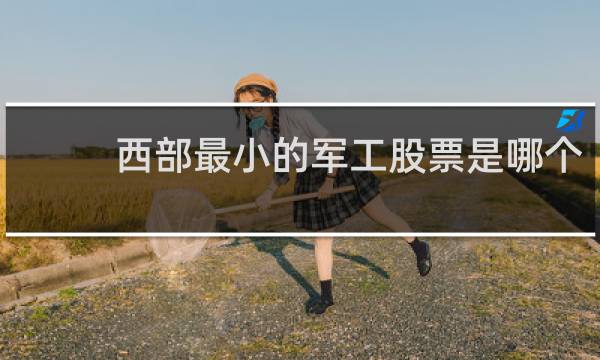 西部最小的军工股票是哪个