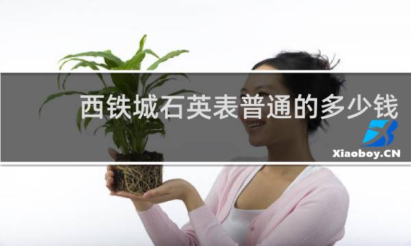 西铁城石英表普通的多少钱