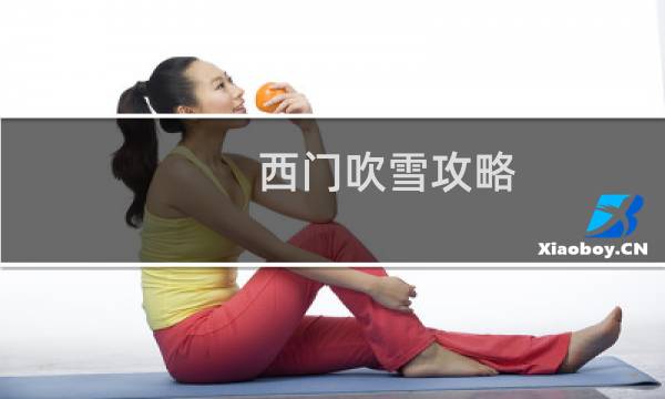 西门吹雪攻略