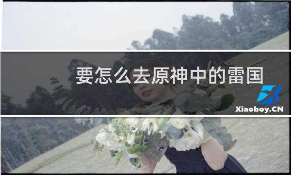要怎么去原神中的雷国