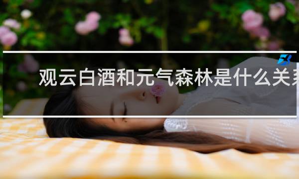 观云白酒和元气森林是什么关系