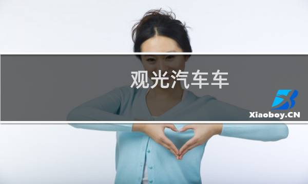 观光汽车车