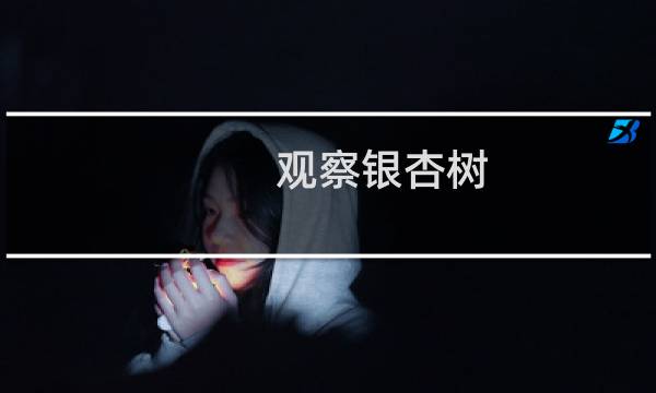 观察银杏树