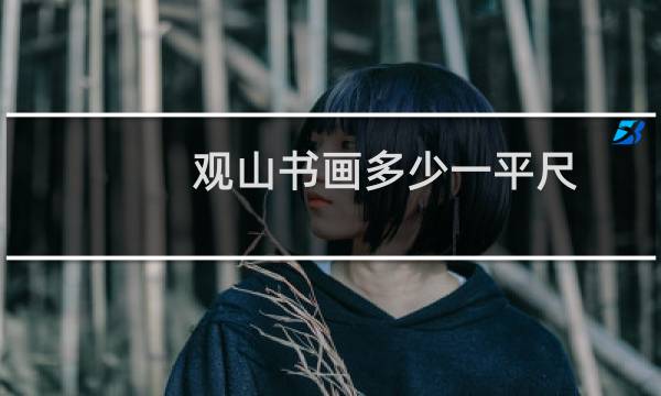 观山书画多少一平尺