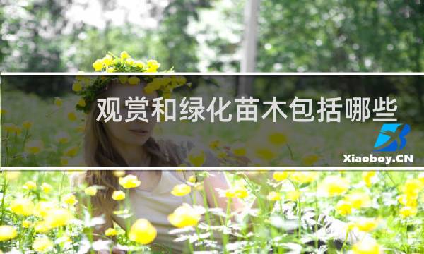 观赏和绿化苗木包括哪些