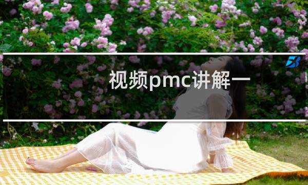 视频pmc讲解一