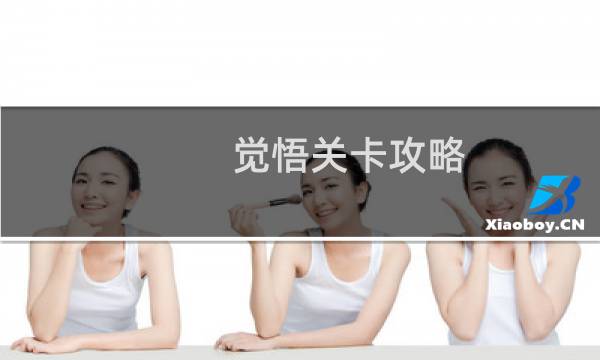 觉悟关卡攻略