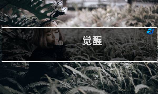 觉醒 赚钱 最终幻想