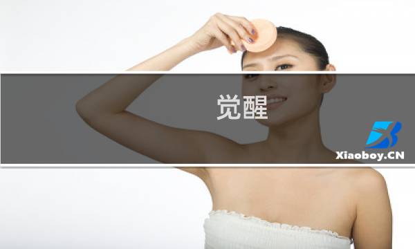 觉醒 l难度攻略
