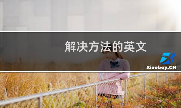 解决方法的英文