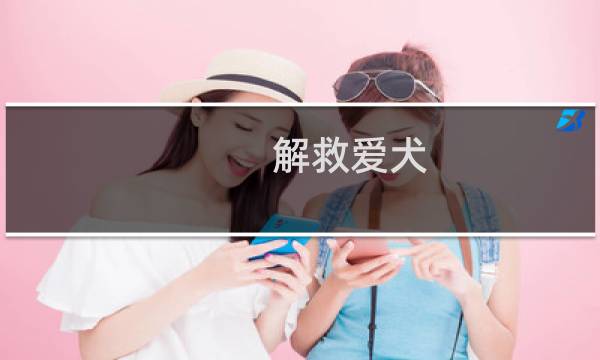 解救爱犬 攻略