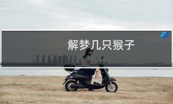 解梦几只猴子