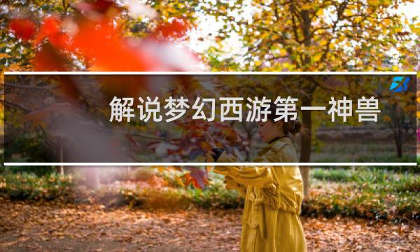 解说梦幻西游第一神兽