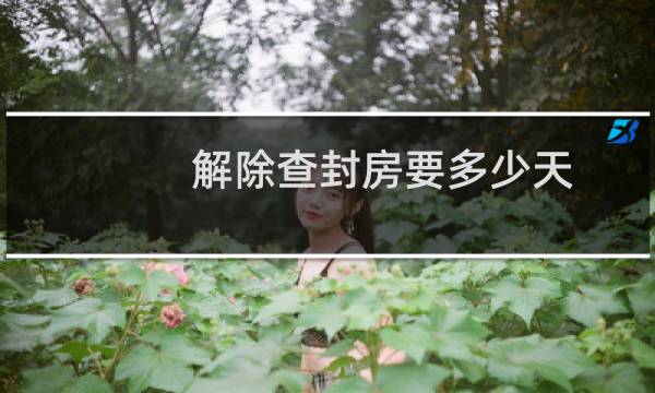 解除查封房要多少天