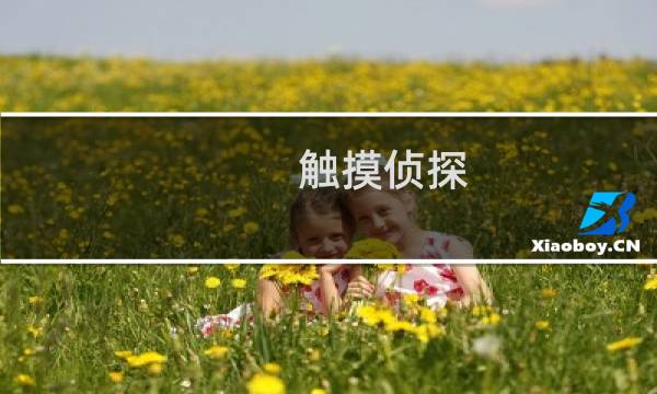 触摸侦探 攻略