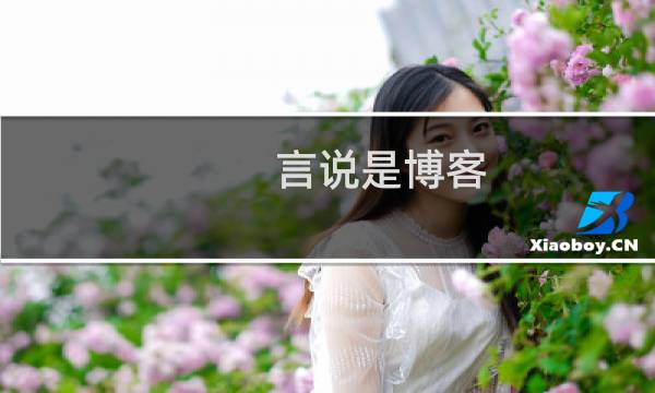 言说是博客