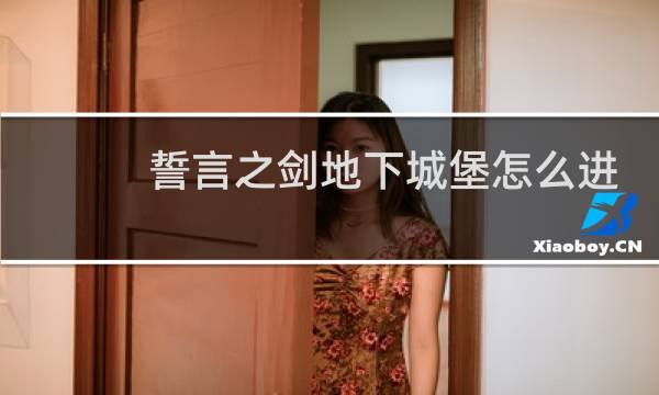 誓言之剑地下城堡怎么进