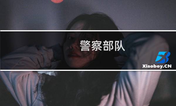 警察部队 攻略